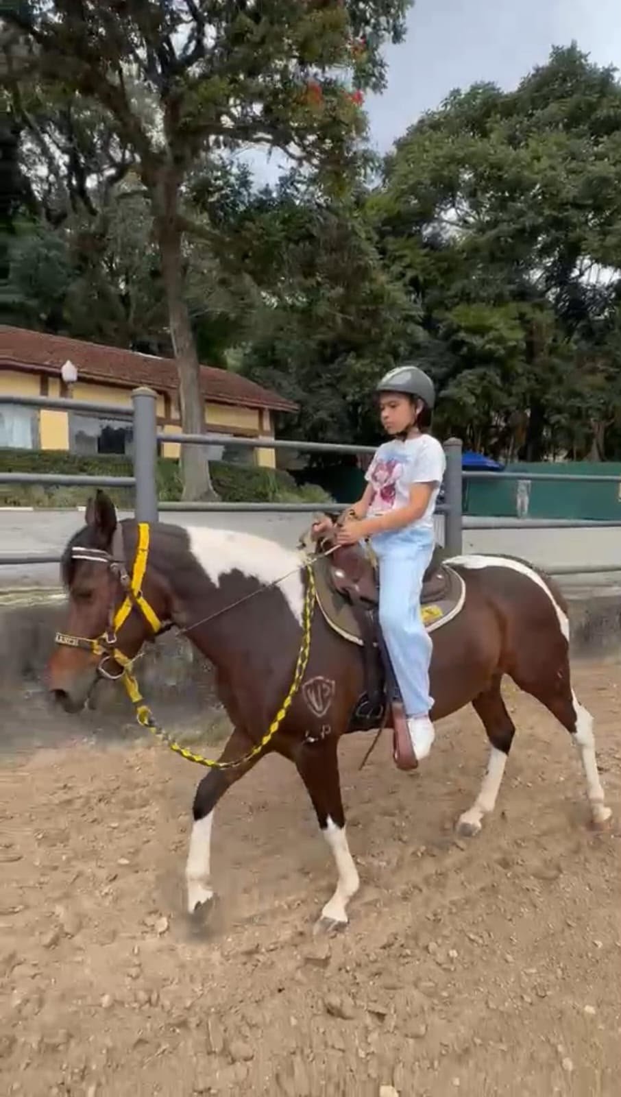 Menina montando um cavalo pintado