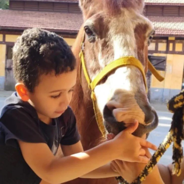 Treinador com cavalo na Texas Ranch